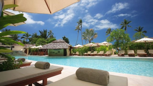 Tropical resort pool with palm trees and shaded seating