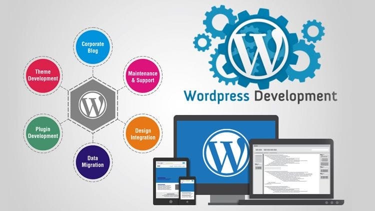 WordPress Website Development in Mohali | Vashu Tech
